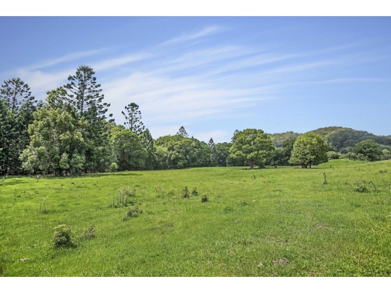 803-809 Cudgera Creek Road, Cudgera Creek NSW 2484