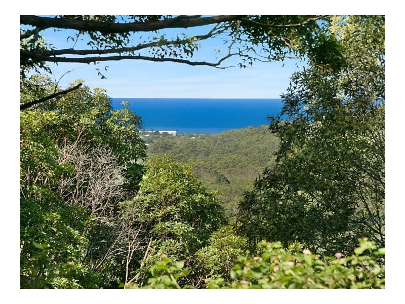 278 Round Mountain Road, Round Mountain NSW 2484