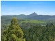 278 Round Mountain Road, Round Mountain NSW 2484