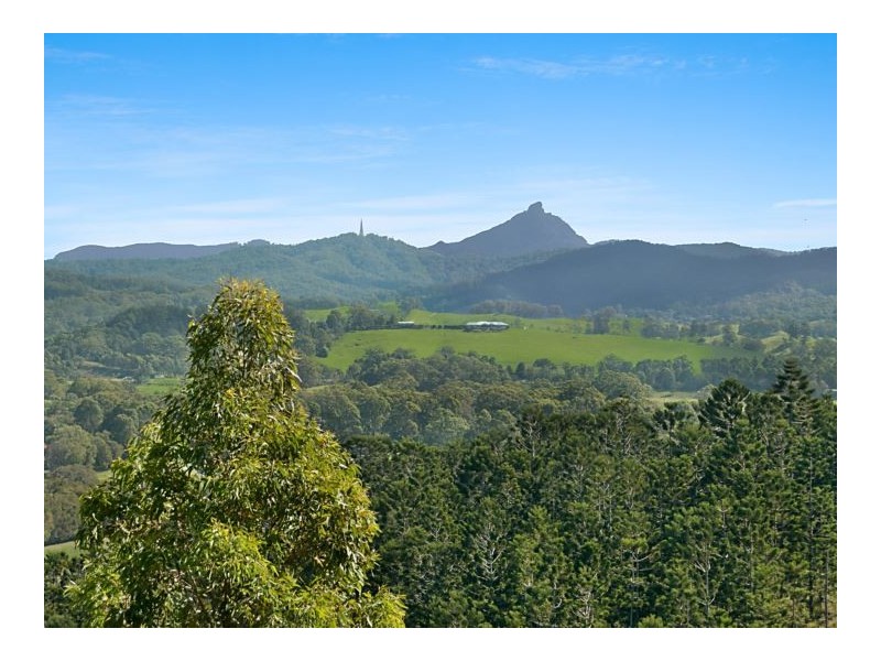 278 Round Mountain Road, Round Mountain NSW 2484