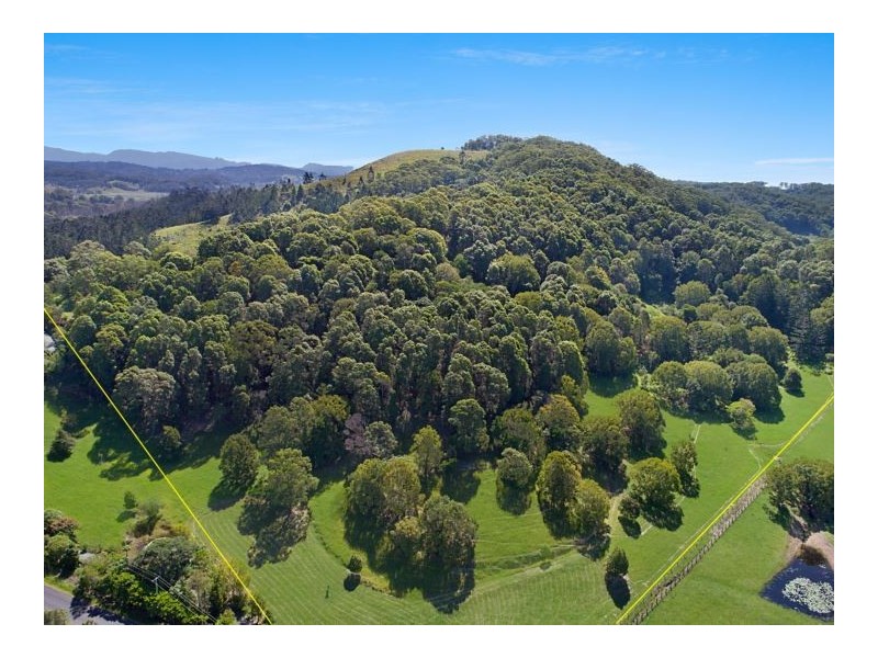 278 Round Mountain Road, Round Mountain NSW 2484