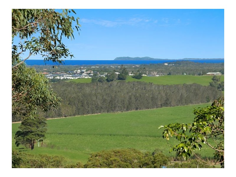278 Round Mountain Road, Round Mountain NSW 2484