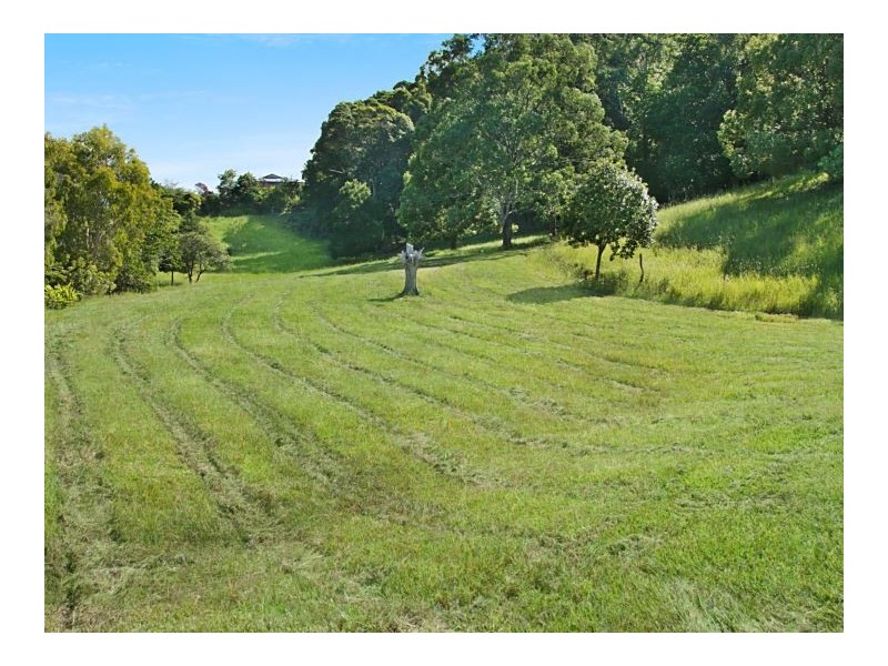 278 Round Mountain Road, Round Mountain NSW 2484