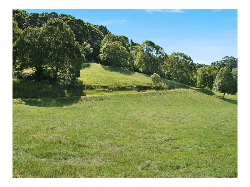 278 Round Mountain Road, Round Mountain NSW 2484