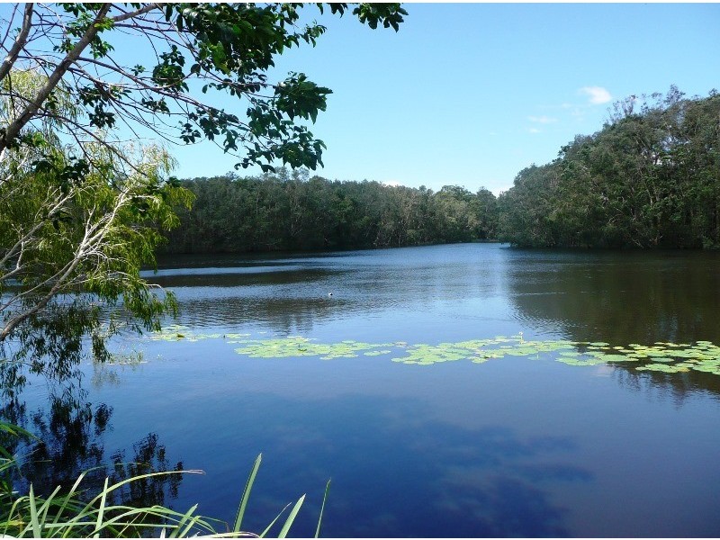 56 Tamarind Avenue, Cabarita Beach NSW 2488