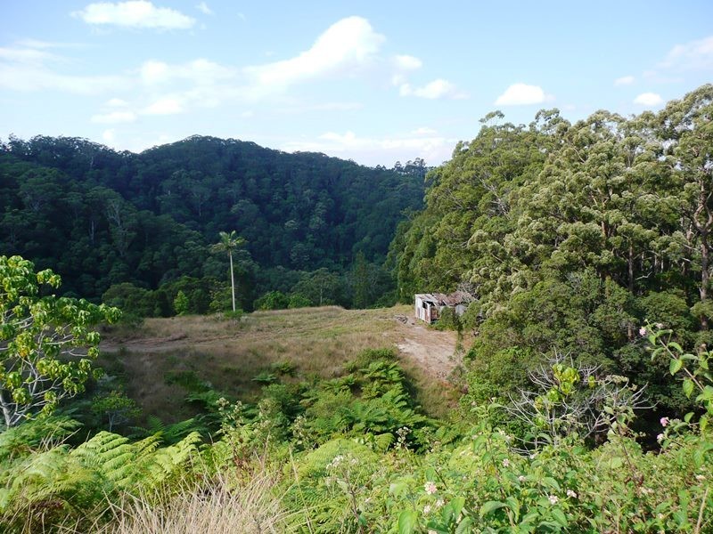 260 Cudgera Creek Road, Cudgera Creek NSW 2484