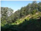260 Cudgera Creek Road, Cudgera Creek NSW 2484
