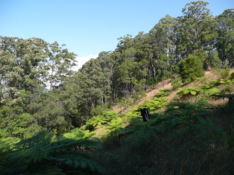 260 Cudgera Creek Road, Cudgera Creek NSW 2484