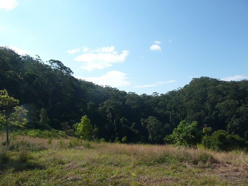 260 Cudgera Creek Road, Cudgera Creek NSW 2484