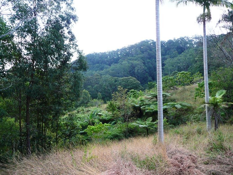 260 Cudgera Creek Road, Cudgera Creek NSW 2484