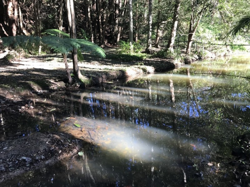 652 Clothiers Creek, Clothiers Creek NSW 2484