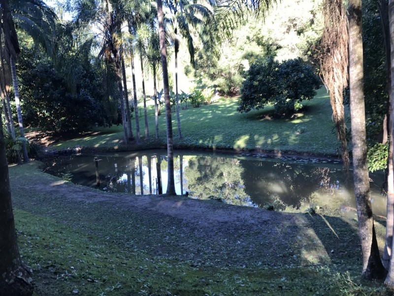 652 Clothiers Creek, Clothiers Creek NSW 2484