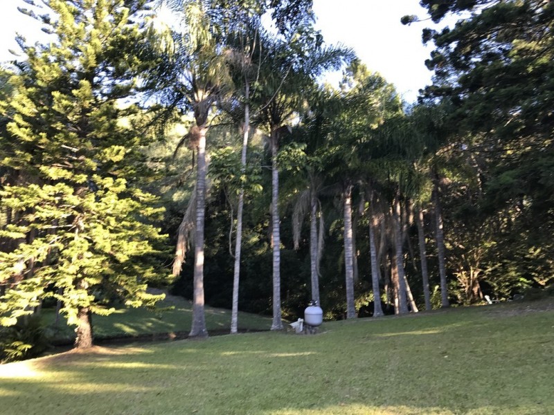 652 Clothiers Creek, Clothiers Creek NSW 2484