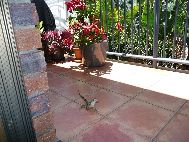 9/76-78 Tweed Coast Road, Pottsville NSW 2489