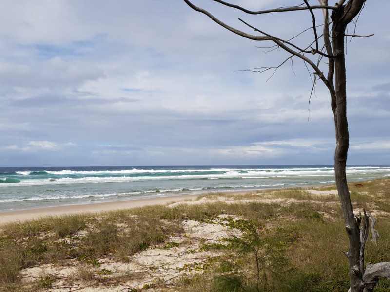 1/52 Elanora Avenue, Pottsville NSW 2489