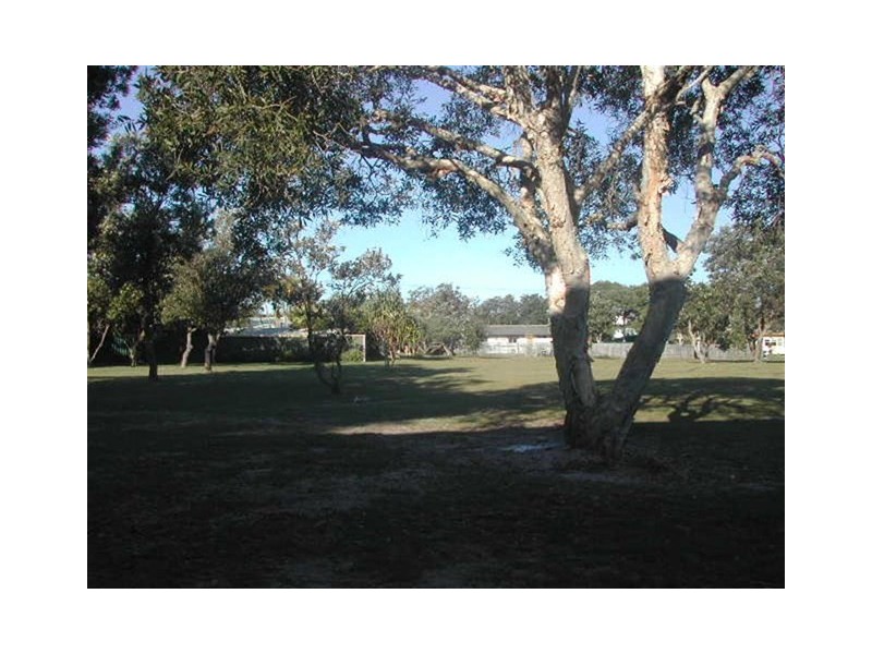 3b Towners Avenue, Cabarita Beach NSW 2488