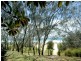 2 Cypress Crescent, Cabarita Beach NSW 2488