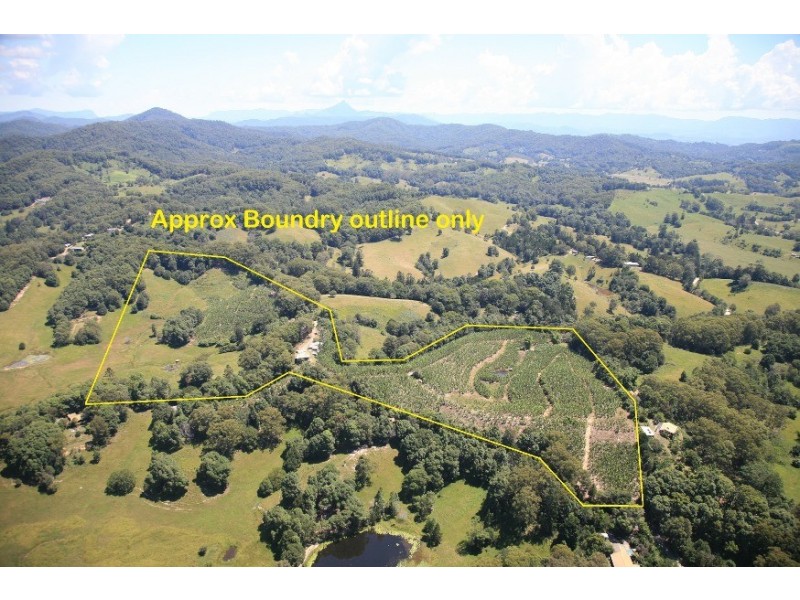 1727 Reserve Creek Road, Cudgera Creek NSW 2484