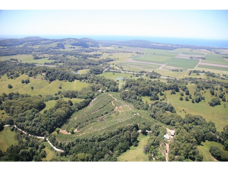 1727 Reserve Creek Road, Cudgera Creek NSW 2484