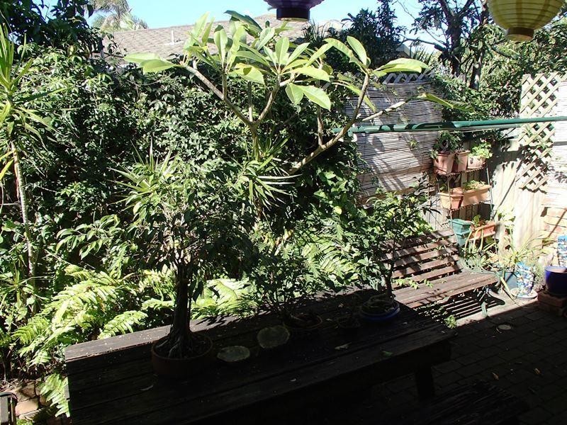 2/29 Cassidy Crescent, Cabarita Beach NSW 2488