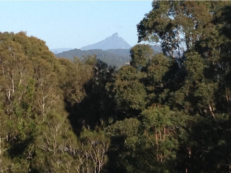 15 Bottlebrush Drive, Pottsville NSW 2489