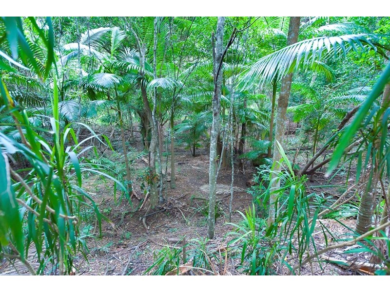 12 Condor Place, Clothiers Creek NSW 2484