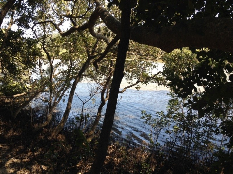 37 Tweed Coast Road, Hastings Point NSW 2489