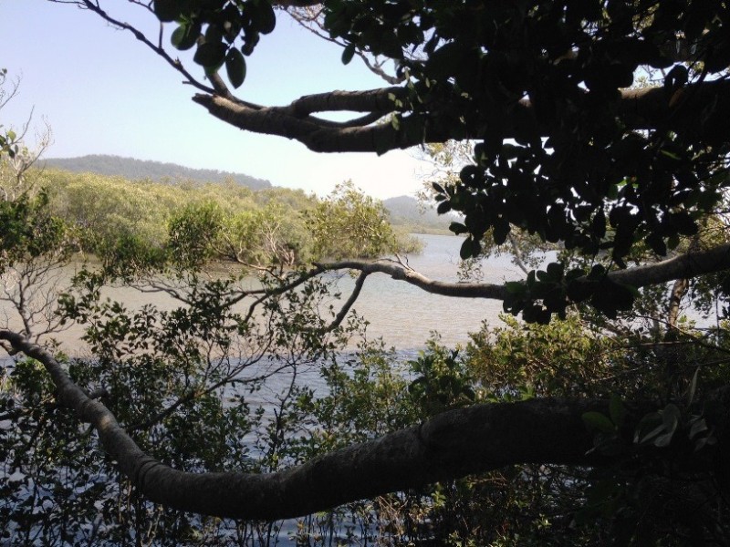 37 Tweed Coast Road, Hastings Point NSW 2489