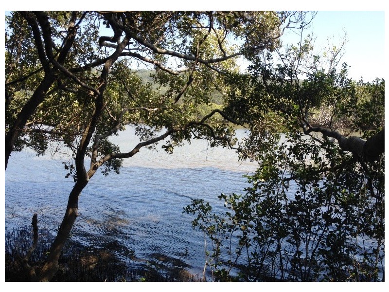 37 Tweed Coast Road, Hastings Point NSW 2489