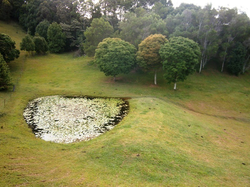 26 Spring Valley Rd, Pottsville NSW 2489