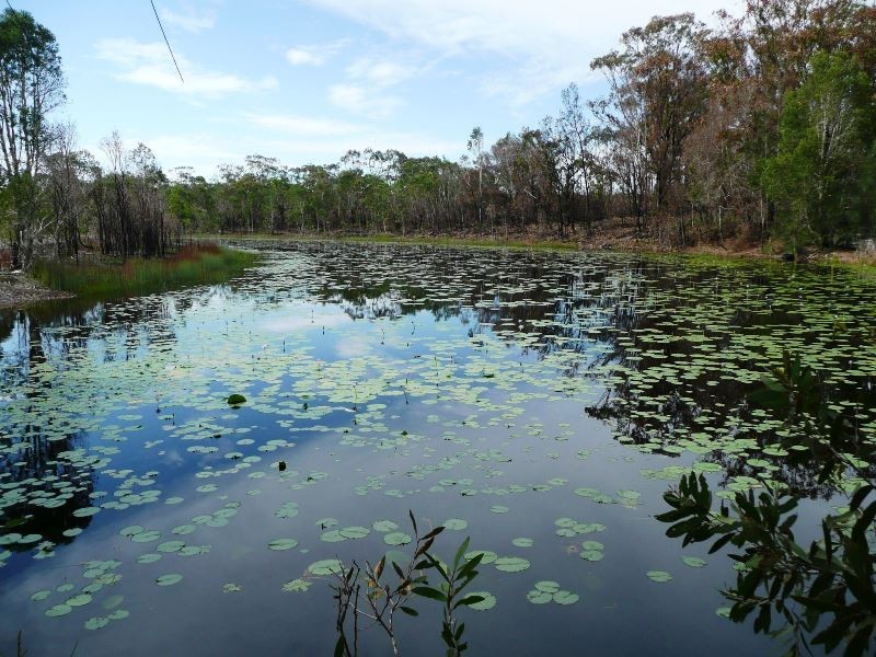 13 Andrew Avenue, Pottsville NSW 2489