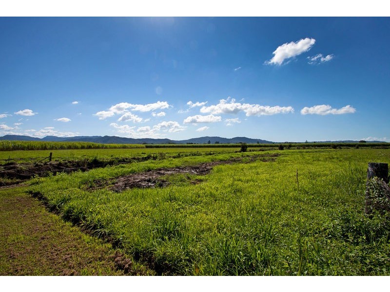 65 Eviron Rd, Murwillumbah NSW 2484