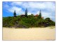 58 Tweed Coast Road, Cabarita Beach NSW 2488