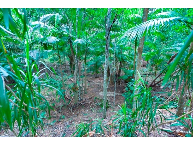 12 Condor Place, Clothiers Creek NSW 2484