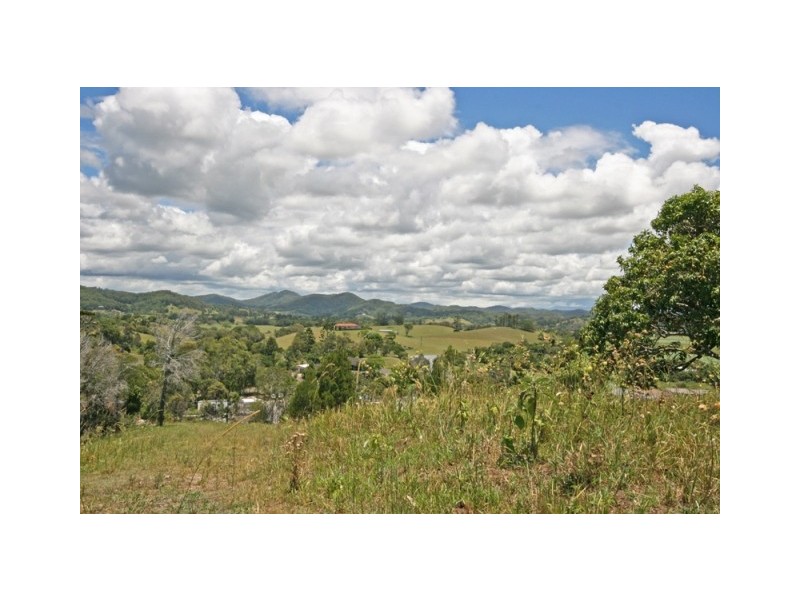 9 Hazelwood Drive, Pottsville NSW 2489