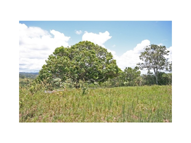 9 Hazelwood Drive, Pottsville NSW 2489