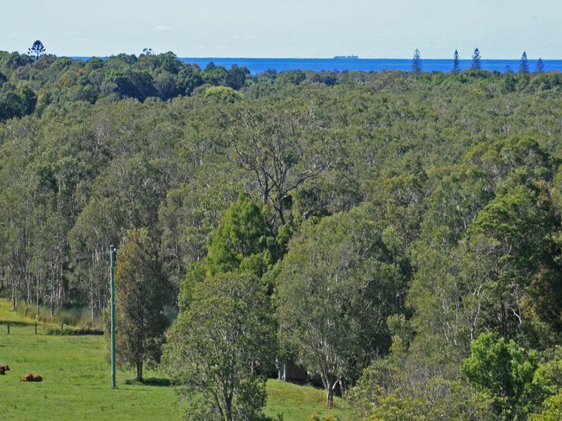 1032 Pottsville Rd, Pottsville NSW 2489