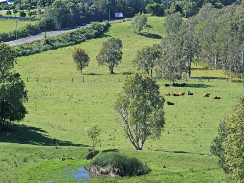 1032 Pottsville Rd, Pottsville NSW 2489