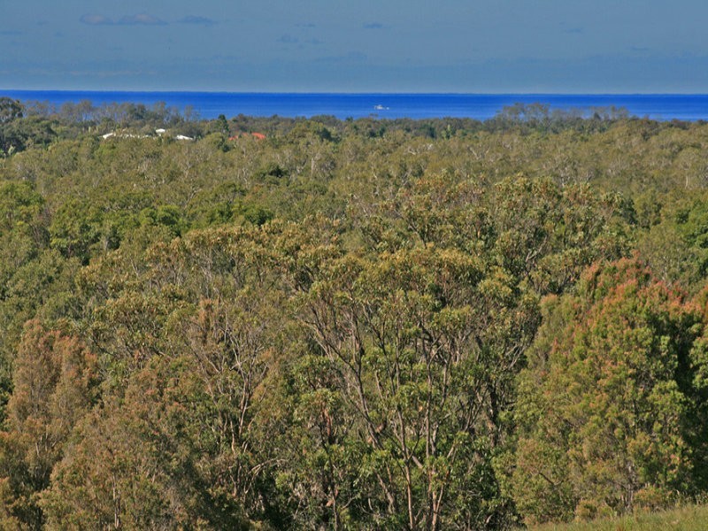 1032 Pottsville Rd, Pottsville NSW 2489