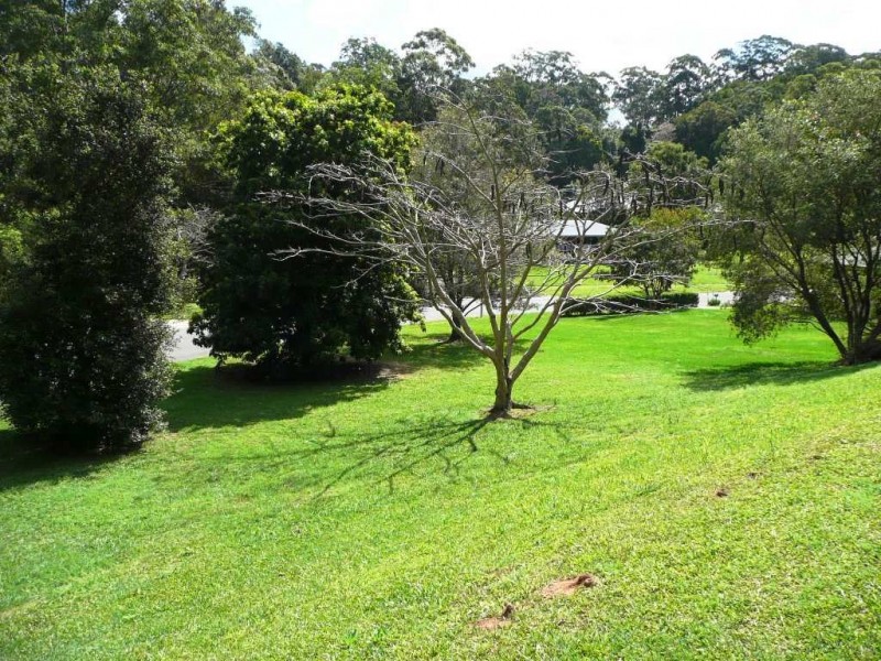 45 Elvadale Place, Nunderi NSW 2484