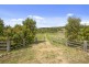 438 Eviron Road, Eviron NSW 2484