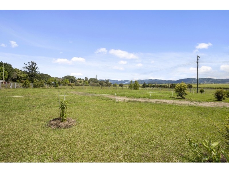 438 Eviron Road, Eviron NSW 2484