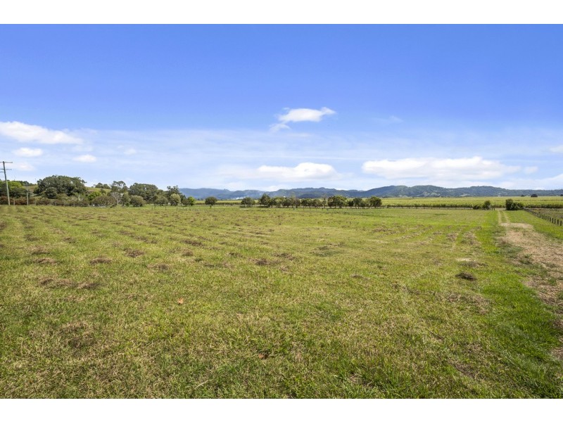 438 Eviron Road, Eviron NSW 2484