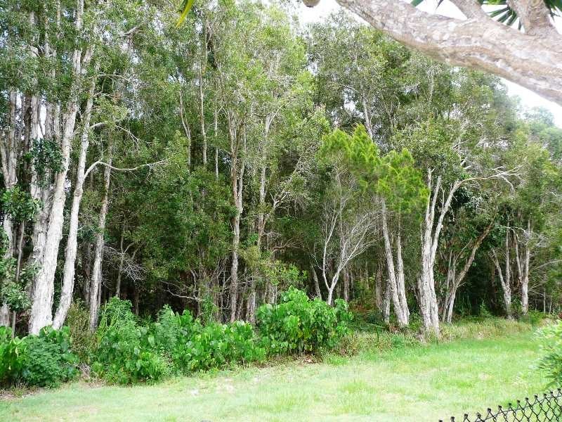 14 Penda Court, Cabarita Beach NSW 2488