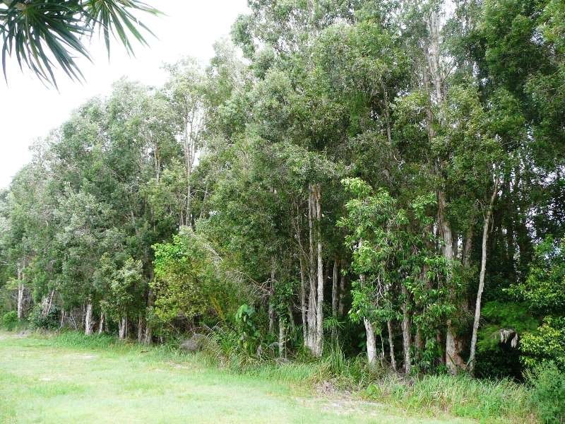 14 Penda Court, Cabarita Beach NSW 2488