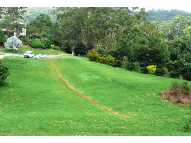 16 Gumtree Court, Nunderi NSW 2484