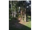 14 Kurrajong Avenue, Cabarita Beach NSW 2488