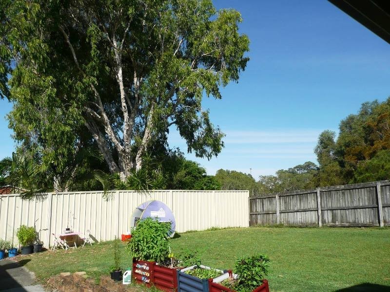 43 Grass Tree Circuit, Cabarita Beach NSW 2488