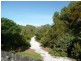 43 Grass Tree Circuit, Cabarita Beach NSW 2488
