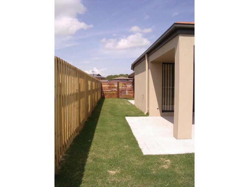 3 Melicope Close, Carseldine QLD 4034